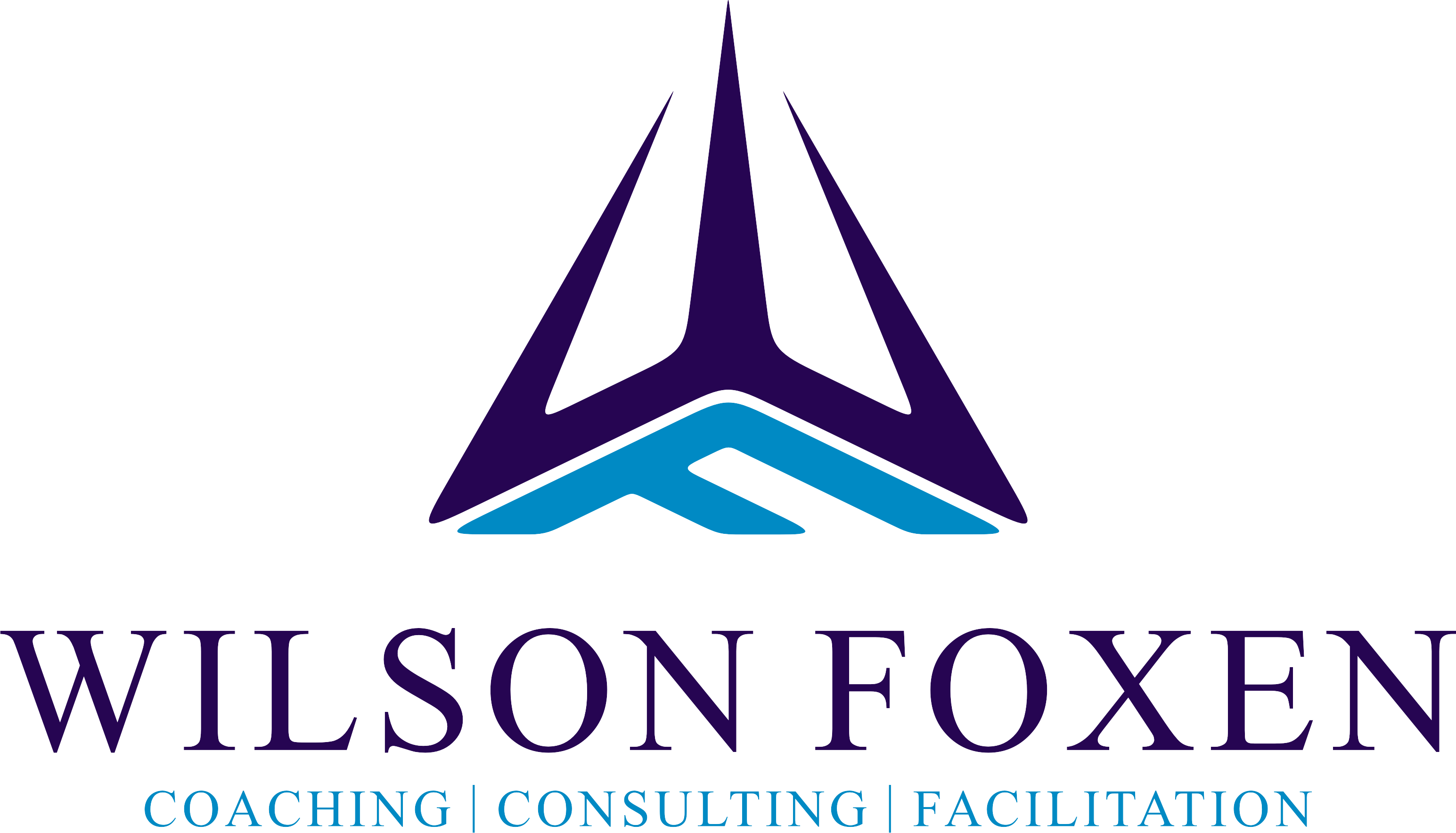 Wilson Foxen Coaching & Consulting Log