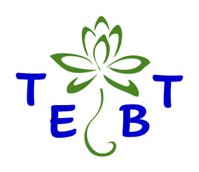 The Eric Benson Team logo