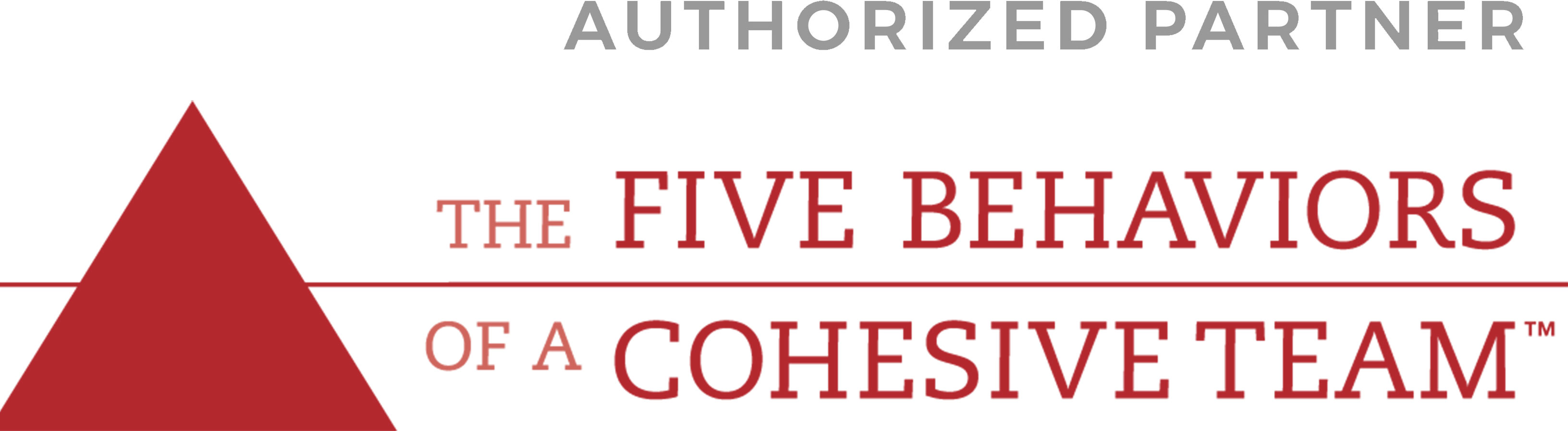 Five Behaviors of a Cohesive Team™ Authorized Partner