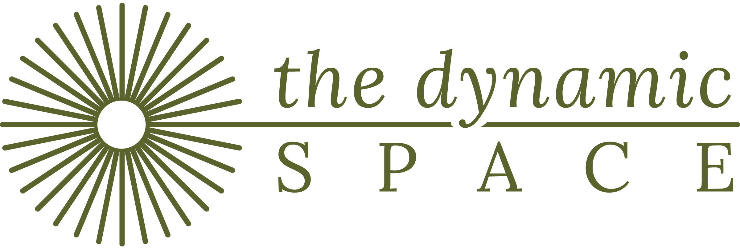 The Dynamic Space logo