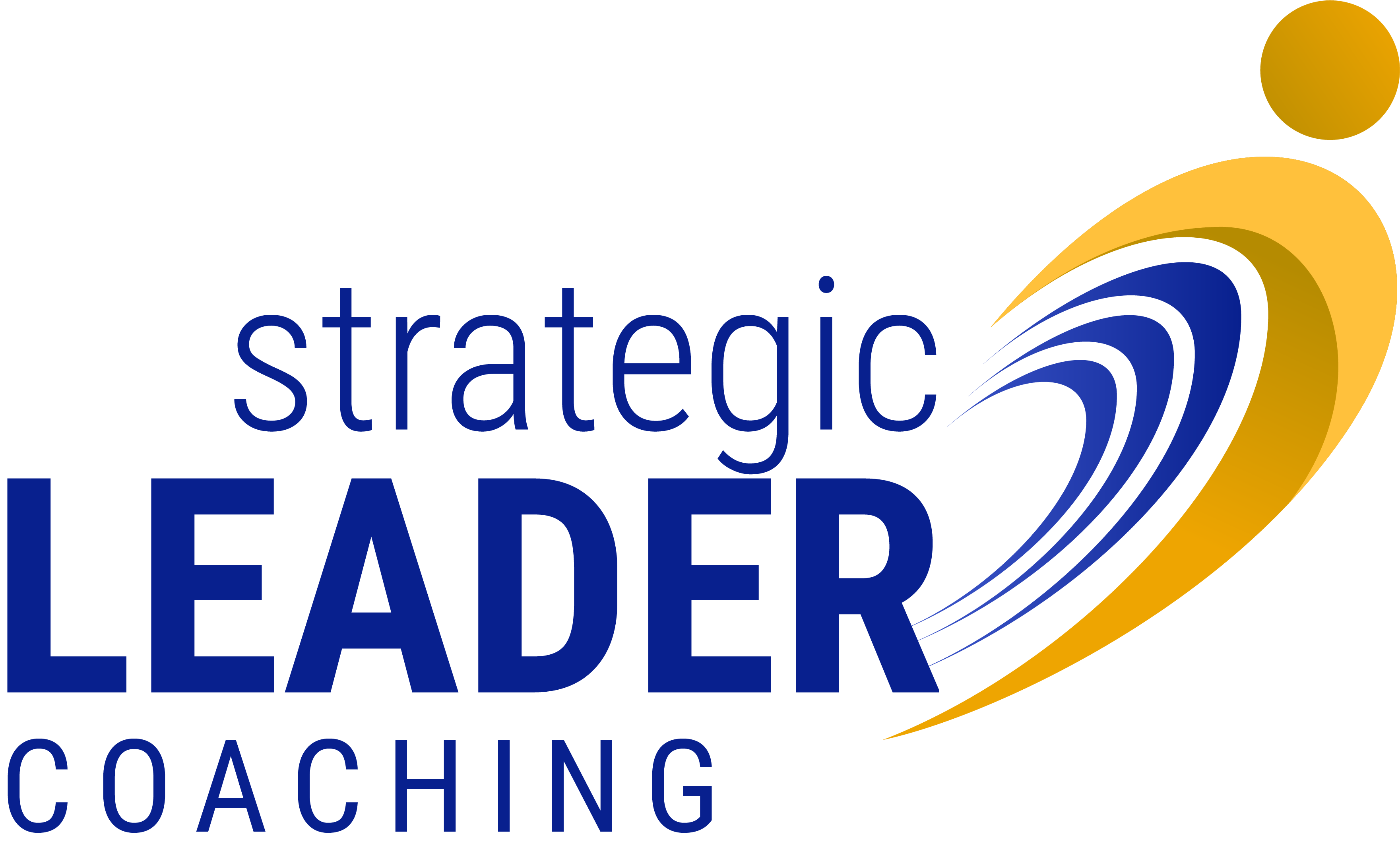 Strategic Leader Coaching